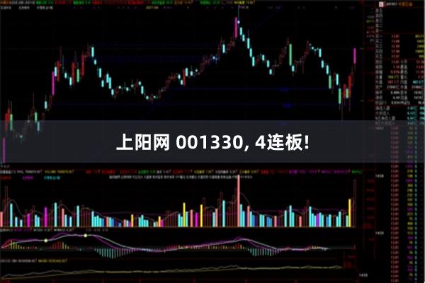 上阳网 001330, 4连板!