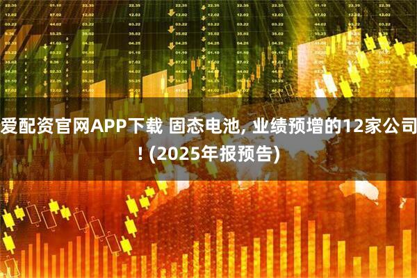 爱配资官网APP下载 固态电池, 业绩预增的12家公司! (2025年报预告)